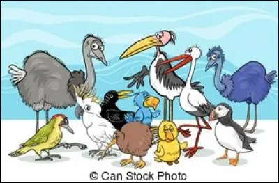 Moyen de locomotion des bébés :