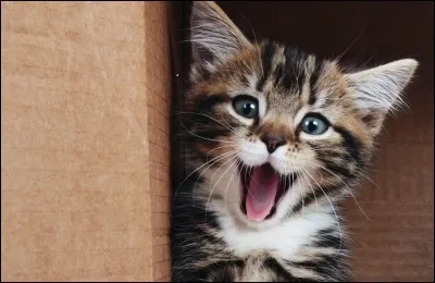 Que t'inspire cette image ?