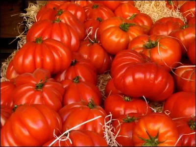 Que sont ces tomates ?