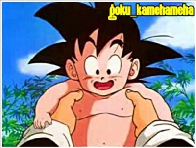 Par qui Son Goku est-il recueilli quand il arrive sur Terre, étant enfant ?
