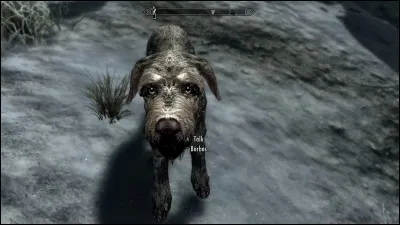 A qui est ce chien nommé Barbas ?