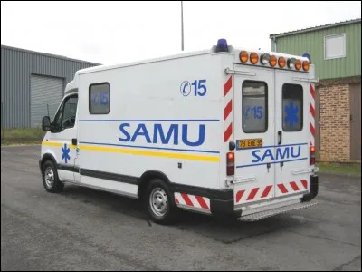 De quelle maladie décède France Gall ?