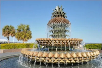 Cette incroyable fontaine d'ananas est en Caroline du Sud (USA). Quelle est la ville principale de Caroline du Sud ?