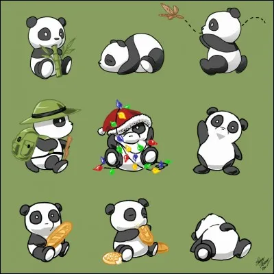Que sont les pandas ?