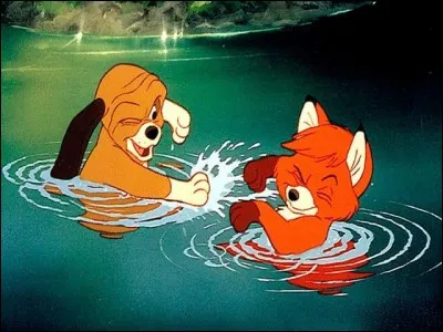 Dans "Rox et Rouky", Rox est le renard et Rouky le chien, mais, quelle est la race de Rouky ?