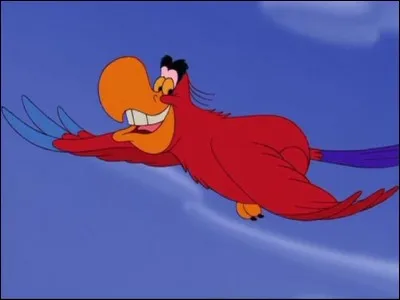 Quel est le nom du fidèle compagnon de Jafar dans le film 
"Aladdin" ?