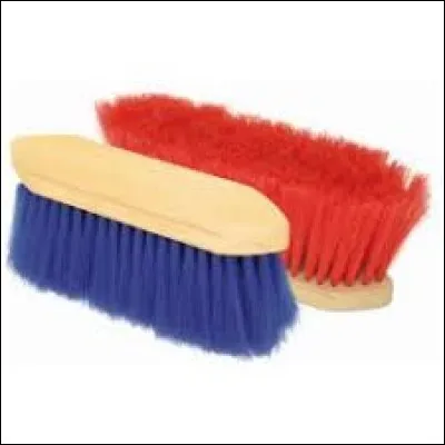 Quelle est cette brosse ?