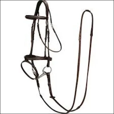 Quel est cet autre harnachement ?