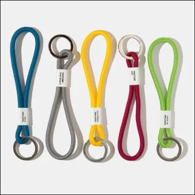 Pour Sagan, la robe de Valentine est...