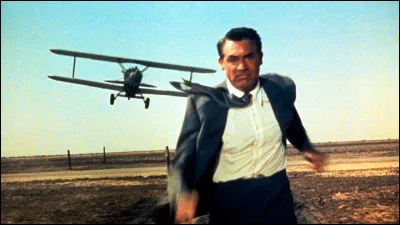 Quelle est la technique utilisée dans ce fameux film, "La mort aux trousses" ?