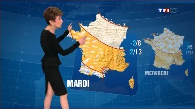 Que présentait Alain Gillot-Pétré à la télévision ?