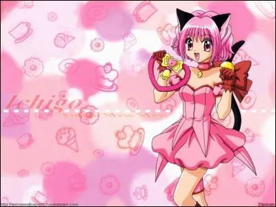 Quelles sont ses armes ?