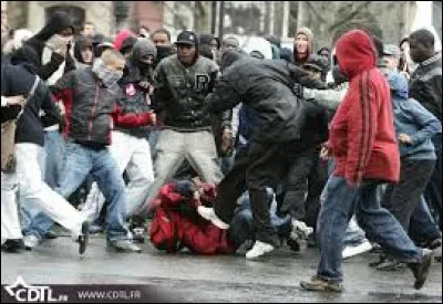 Que fais-tu pendant une bagarre ?