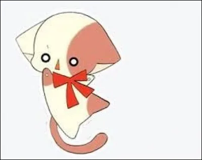 Comment s'appelle le chat de Kilari ?