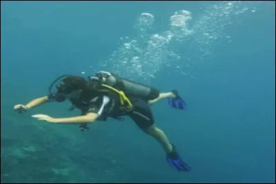 A quelle saison peut-on se baigner dans le lagon ?