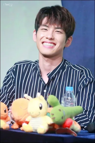 De quel instrument joue Wonpil ?