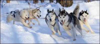 À quel massif montagneux appartient le domaine skiable de Métabief Mont d'Or ?