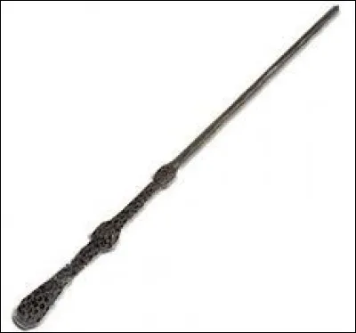 Durant quel siècle fut créée la baguette de sureau ?