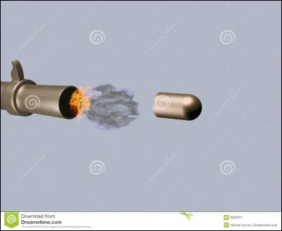 Quels instruments repr&eacute;sentent les coups de fusils ?