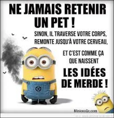 Quelle est ta marque préférée ?