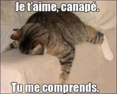 Quel est ton numéro préféré ?