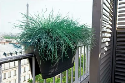Qui chantait " De l'herbe ancienne, des bacs à fleurs sur les balcons, on doit être hors-saison" ?