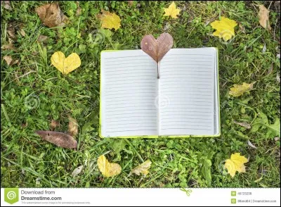 Livre anonyme qui relate le journal intime d'une jeune fille droguée de 15 ans, quel est son titre ?