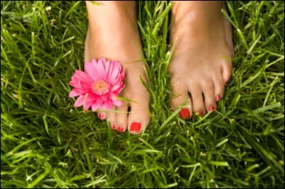 Un jour, j'avais créé un beau quiz peinture sur le thème de l'hiver à sortir le lendemain. Et oh ! surprise ! Une de mes collègues de Quizz.Biz met en ligne un quiz sur le même thème, un jour plus tôt ! Que dire ?