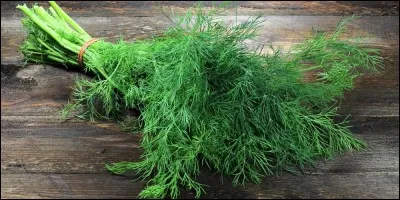 Quel est le nom de cette herbe aromatique au goût anisé ?