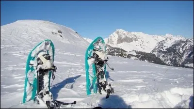 Si vous n'aimez ni la glisse ni la vitesse, je peux vous proposer ces instruments qui vous permettront de marcher sur la neige épaisse. Que sont-ce ?