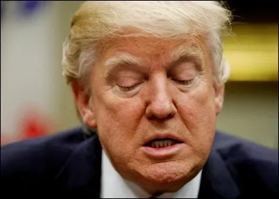 Qui est Donald Trump ?