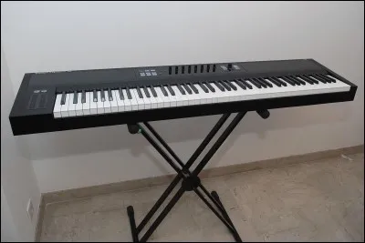 Quel est cet instrument de musique ?