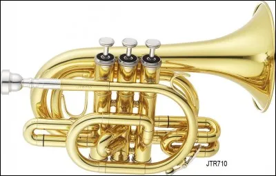 Quel est cet instrument de musique ?