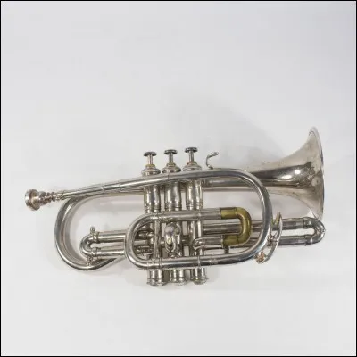 Quel est cet instrument de musique ?