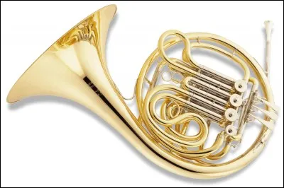 Quel est cet instrument de musique ?