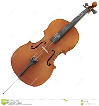 Quel est cet instrument de musique ?
