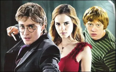 Quelle sorte de personnes préfères-tu ?