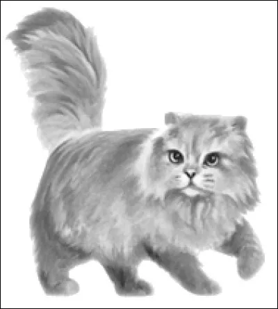 Comment s'appelait le mentor de Petite Feuille ?