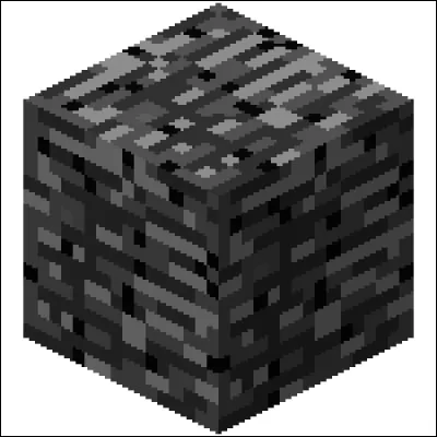 Comment se nomme la couche de roche indestructible complètement sous le monde, affiché ci-dessus ?