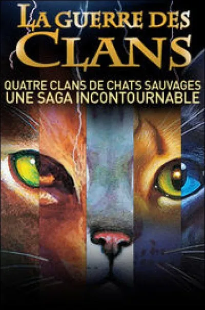 Au tout début de la création des clans, combien y avait-il de clans différents ?
