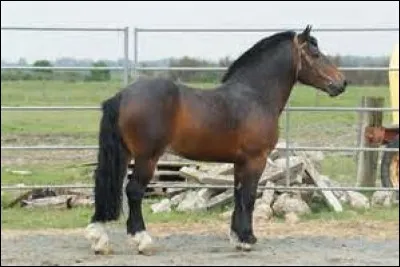 Quelle est cette robe ?