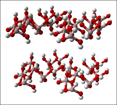 En quelle année Aloïs Alzheimer a-t-il découvert la maladie qui porte son nom ?