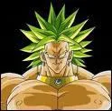 Comment appelle t-on Broly ?
