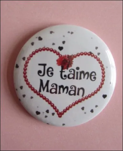 Champignon qui attaque le bois des charpentes !