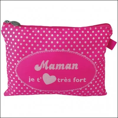 Comment appelle-t-on les habitants de Metz ?