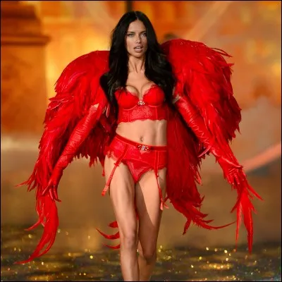 En quelle année Adriana Lima est-elle devenue égérie de VS's ?