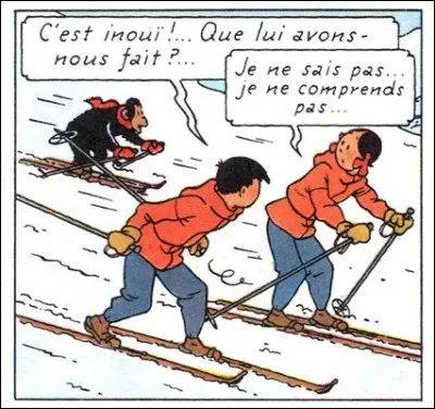 Cette question-l&agrave; est pour les anciens qui adorent les quiz pour enfants ! Qui sont ces skieurs ?