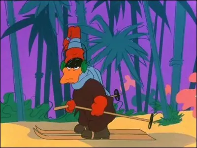 Et enfin, qui est ce canard qui n'a pas l'air tr&egrave;s malin sur ses skis ?