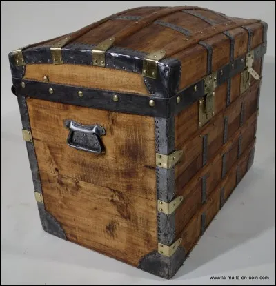 De quelle couleur est le manteau que Skye a trouvé dans la vieille malle de Clara Travers ?