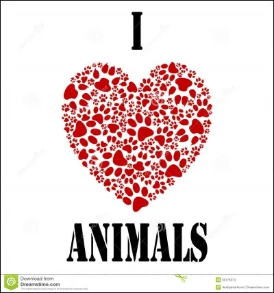 Qu'a reçu Coco pour Noël ?